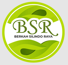Logo lengkap Berkah Silindo Raya